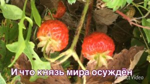 СВЕТ - О ГРЕХЕ О ПРАВДЕ О СУДЕ 3