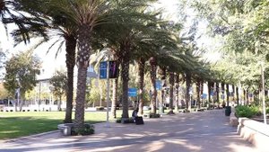 Американский престижный колледж/Тур по Санта Монике колледж/Santa Monica College