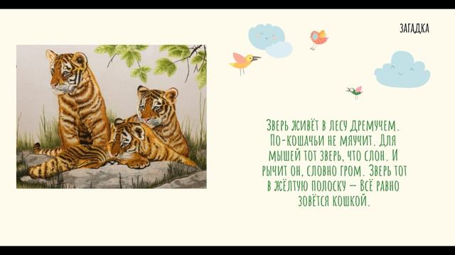 "Тигриные истории"