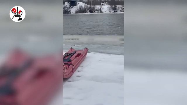 Му-му всё-таки выжила. Real video смотреть онлайн