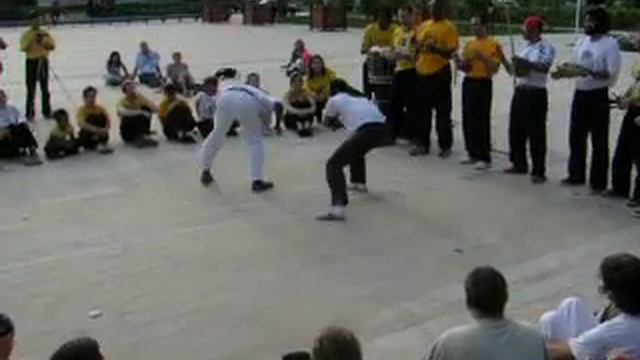 mestre cobra mansa e kenneth смотреть онлайн