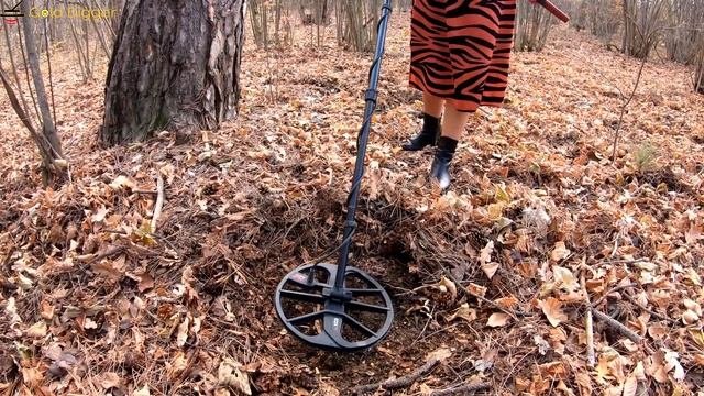 Девчонки копали до последнего! Коп монет женский вариант! Крымские кладоискательницы 4к видео
