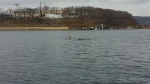 2 декабря 2017 года. Бухта "Аякс".