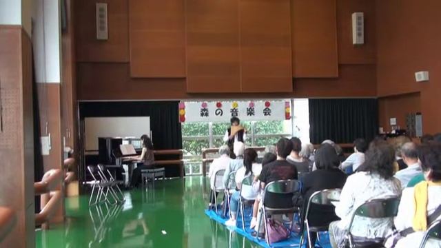 Doina & Hora romanian folksongs Flute de Pan concert part 2 Susumu Otsuka смотреть онлайн