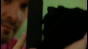 Советы ветеринара: кожные болезни у кошек и их диагностика