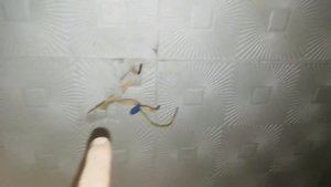 Потолочная розетка из пенопласта