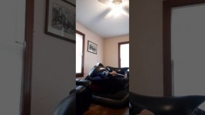 Inflatable whale popping ride