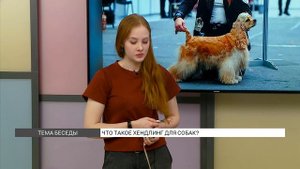 Что такое хендлинг для собак?