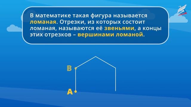 Точка. Кривая линия. Прямая линия. Отрезок. Луч. Ломаная линия. Многоугольник