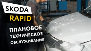 Плановое техническое обслуживание автомобиля Skoda Rapid 1,6