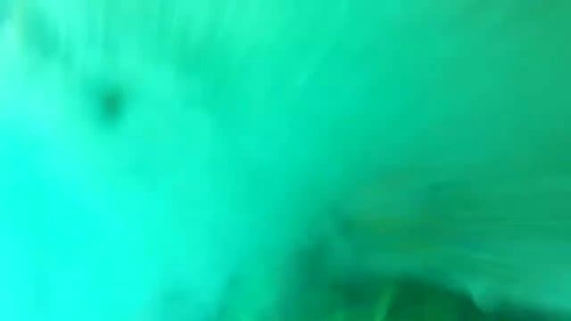 Под водой. Морской гребешок смотреть онлайн