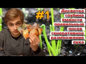 ?Посадка семян лука