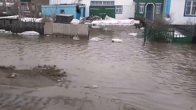 Потоп, Летовочное 2.04.2016