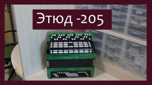 Трудовые будни / Ремонт Баяна "Этюд-205"