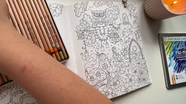 Хобби-влог Один день колориста 1-ая летняя иллюстрация Покупки #vlog #влог #покупки #хобби смотреть онлайн