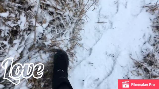 Vlog: На даче смотреть онлайн