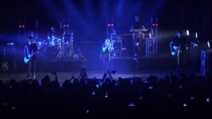 Звери - Капканы