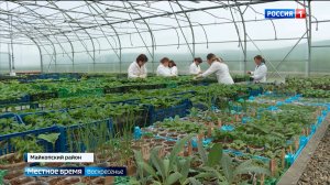 На опытной станции Всероссийского института растениеводства работа сейчас находится в активной фазе