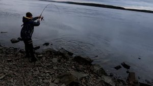 Ловля горбуши в Умбе Кандалакше вот это мы порыбачили