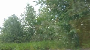 Возвращение из села Большой Куяш через Метлино