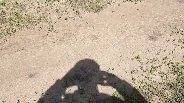 Ветряки.mp4