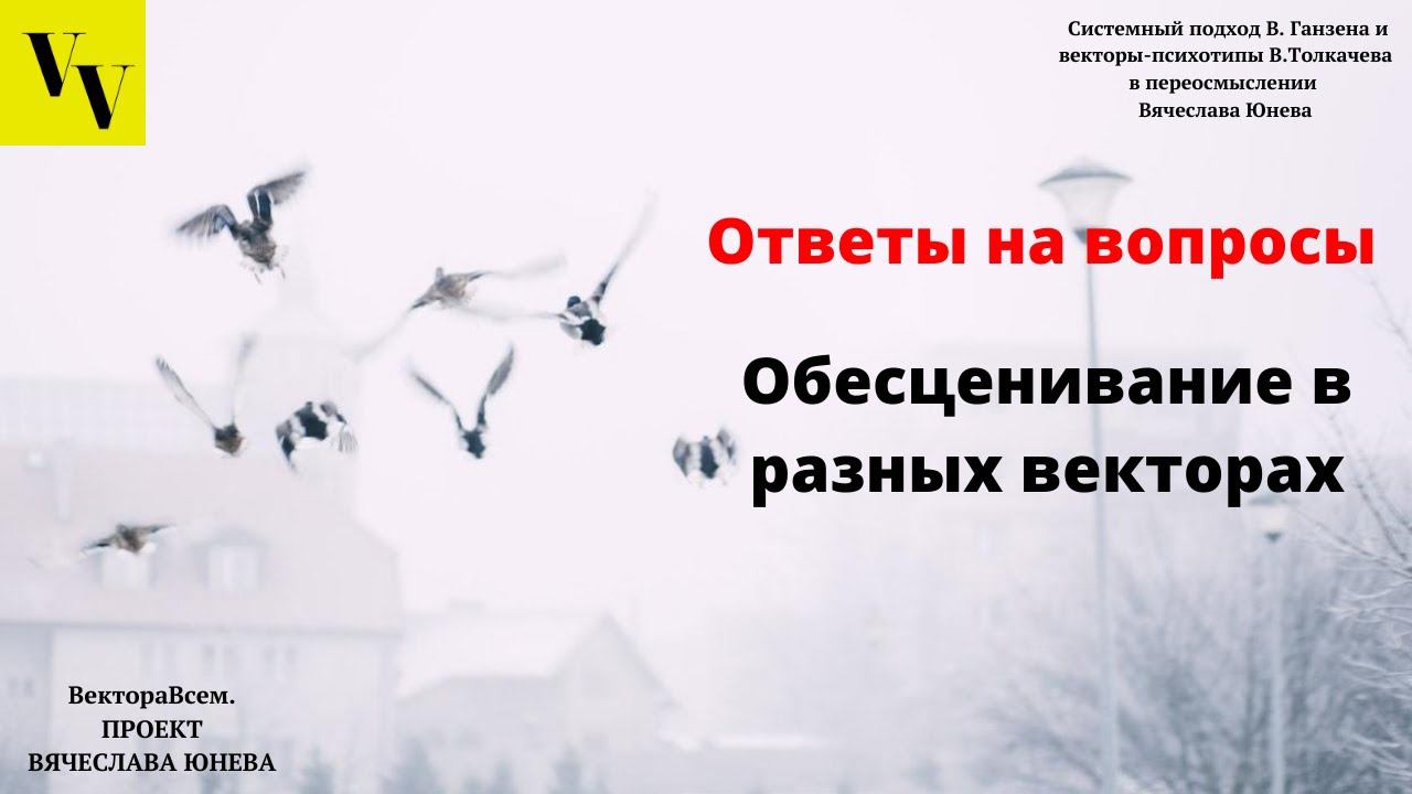 Склонность к обесцениванию у разных векторов. ВектораВсем. Проект Вячеслава Юнева