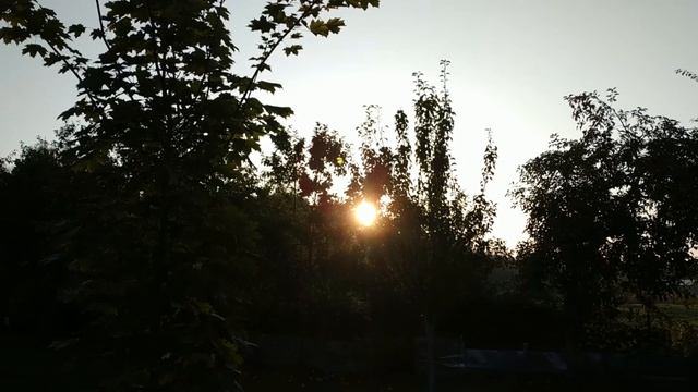 Выходные на даче. Природа. Семья смотреть онлайн