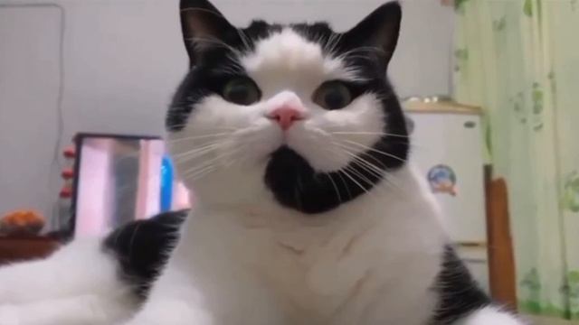 Горячая линия