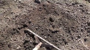 ЯГОД БУДЕТ МОРЕ , ЕСЛИ ПРИ ПОСАДКЕ КЛУБНИКИ ДОБАВИТЬ ЭТИ УДОБРЕНИЯ . КАК ПОСАДИТЬ КЛУБНИКУ  ВЕСНОЙ