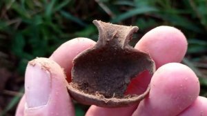 Чешем поле по туману ,Всё кладём себе в карману.