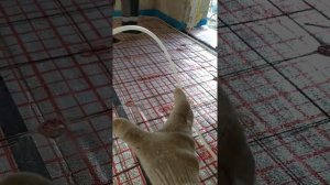 ШАГ УКЛАДКИ ТРУБЫ ВОДЯНОГО ТЕПЛОГО ПОЛА! Сделай так и будет тепло! Водяной теплый пол своими руками