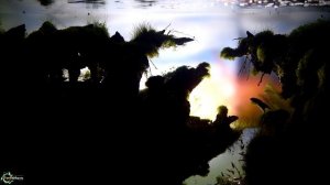 Тесты и параметры воды в аквариуме рубим правду-матку