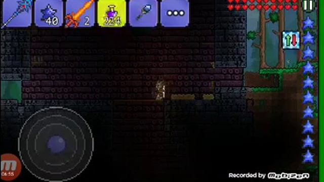 террариум смотреть онлайн