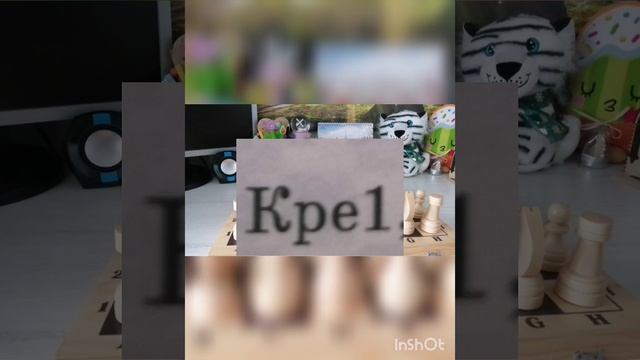 Шахматные фигуры. Король и Ферзь. Урок 2.