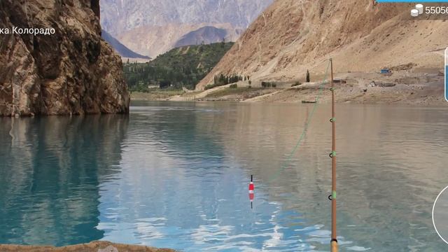 как и где ловить#черный амур#my fishing world