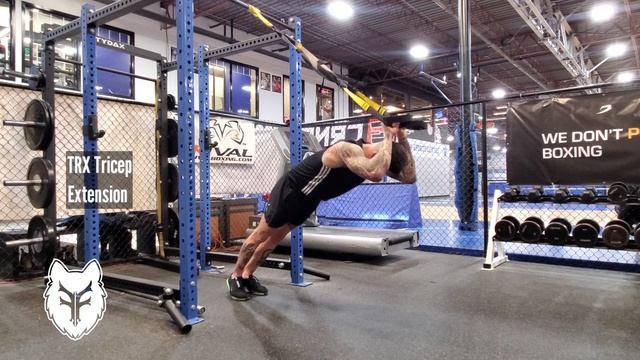 TRX Triceps Extension