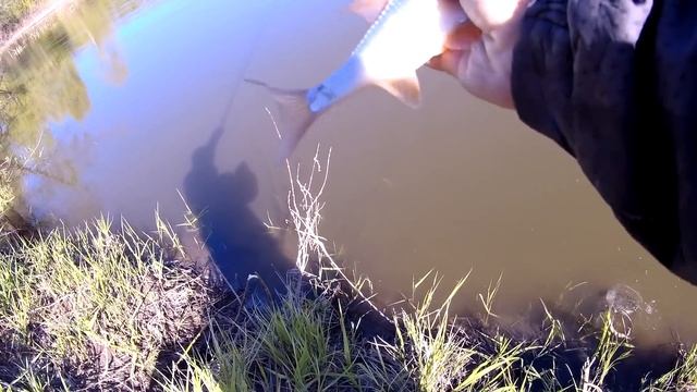 Вечерний клев на реке 7 мая 2022 смотреть онлайн