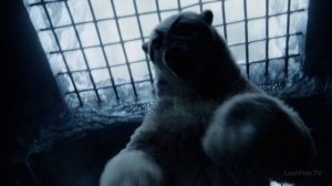 Йорек Бирнисон Против Йофур Ракнисона. Темные начала. Золотой компас.