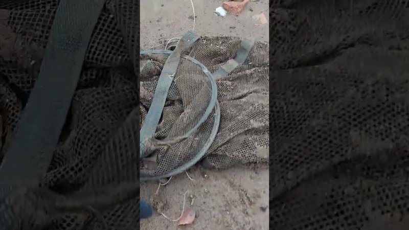 Кто-то из рыбаков потерял свой садок    #металлоискатель #metaldetecting #shorts