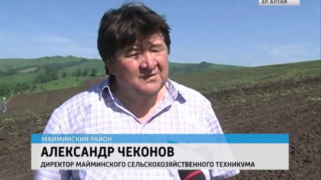 Учащиеся Майминского сельхозтехникума приступили к посевной кампании