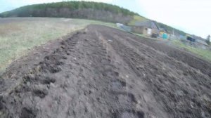 Посадка Малины Весной 2020