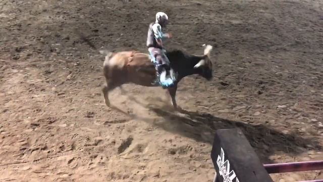 545 Gold Medal - 2019 Sun Valley PBR - Santiago Castellanos смотреть онлайн