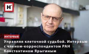 УПРАВЛЯЯ КЛЕТОЧНОЙ СУДЬБОЙ. ИНТЕРВЬЮ С ЧЛЕНОМ-КОРРЕСПОНДЕНТОМ РАН КОНСТАНТИНОМ ЯРЫГИНЫМ