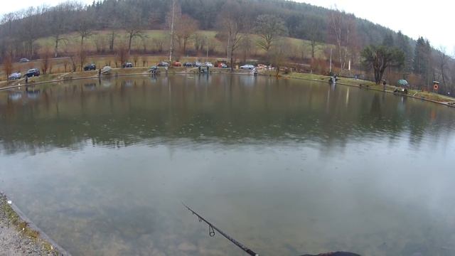 Почему ловля прудовой форели/Why Trout Area? смотреть онлайн