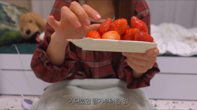 ENG) vlog 자취 브이로그, 킹타이거새우 먹고 불닭짬뽕 끓이는 집밥 먹방 일상ㅣ김치전, 떡만둣국, 호떡, 오븐스파게티, 하와이안피자, 불고기, 가마로닭강정, 대왕새우