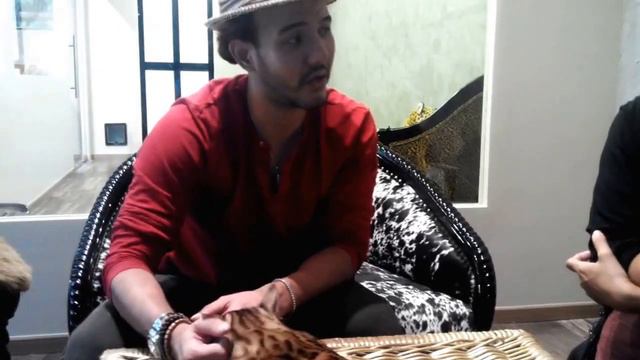 AA with Bengal Cat expert , Alfred Khan @ Designer Bengal Singapore. (Part 3) смотреть онлайн