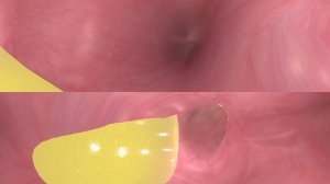 Viaje al interior del sistema digestivo VR 3D /Journey inside the digestive system VR 3D