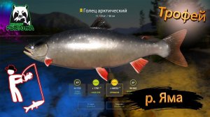 ИЗИ ГОЛЕЦ АРКТИЧЕСКИЙ ТРОФЕЙ #рр4