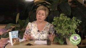 УДИВИТЕЛЬНАЯ МИКОРИЗА! ПРАВИЛА ИСПОЛЬЗОВАНИЯ И ОТВЕТЫ НА ВСЕ ВАШИ ВОПРОСЫ!