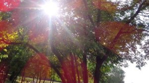 Уйти или остаться